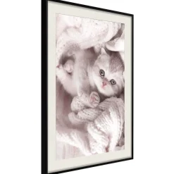 Poster 'Lover of Rest'