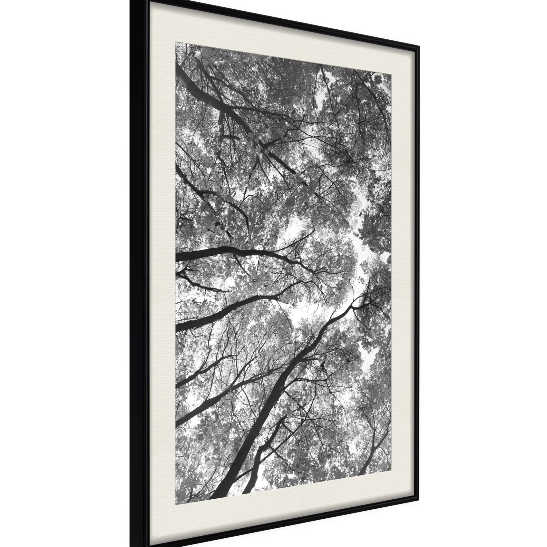 Poster 'Lying on the Grass'