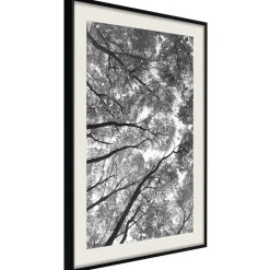 Poster 'Lying on the Grass'