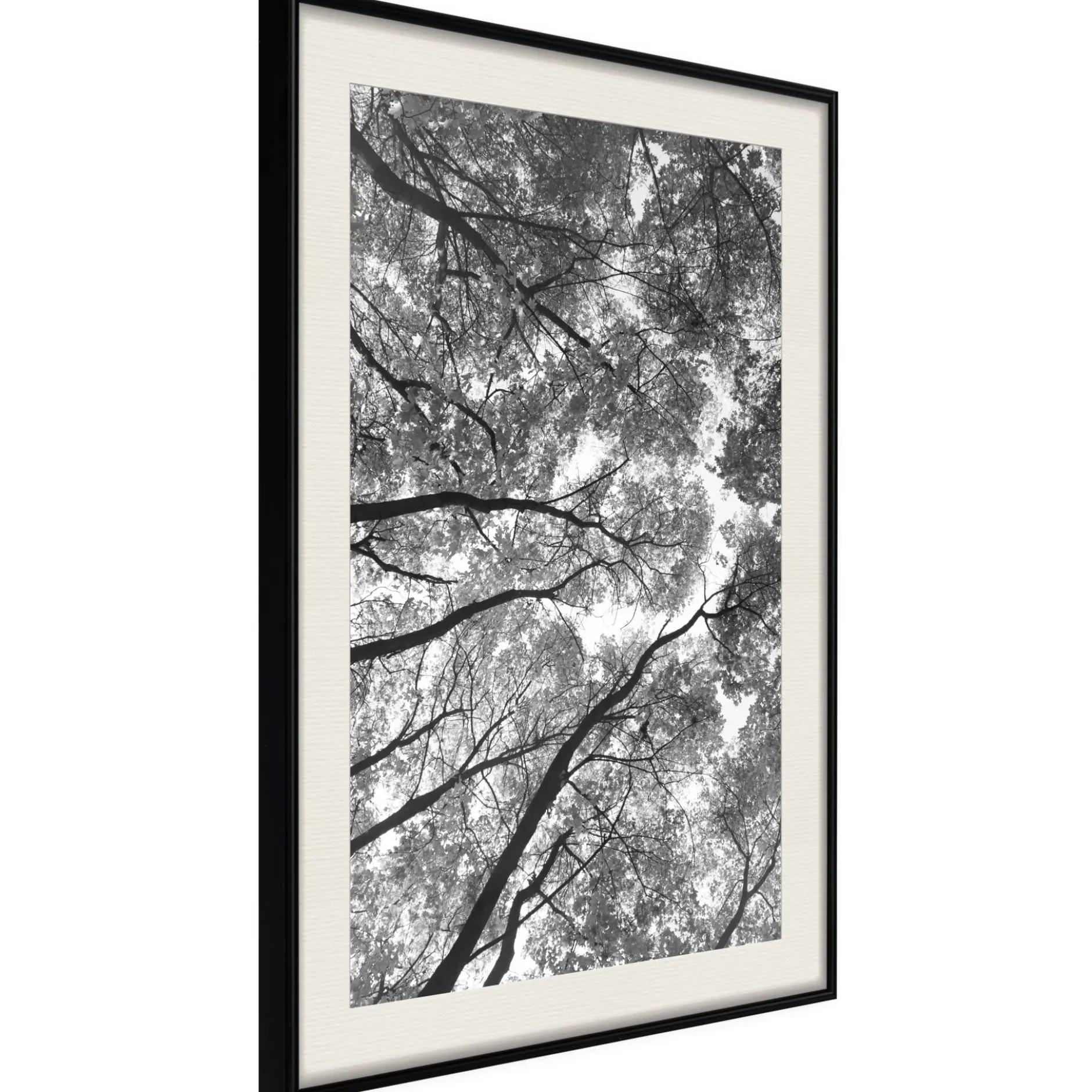 Poster 'Lying on the Grass'