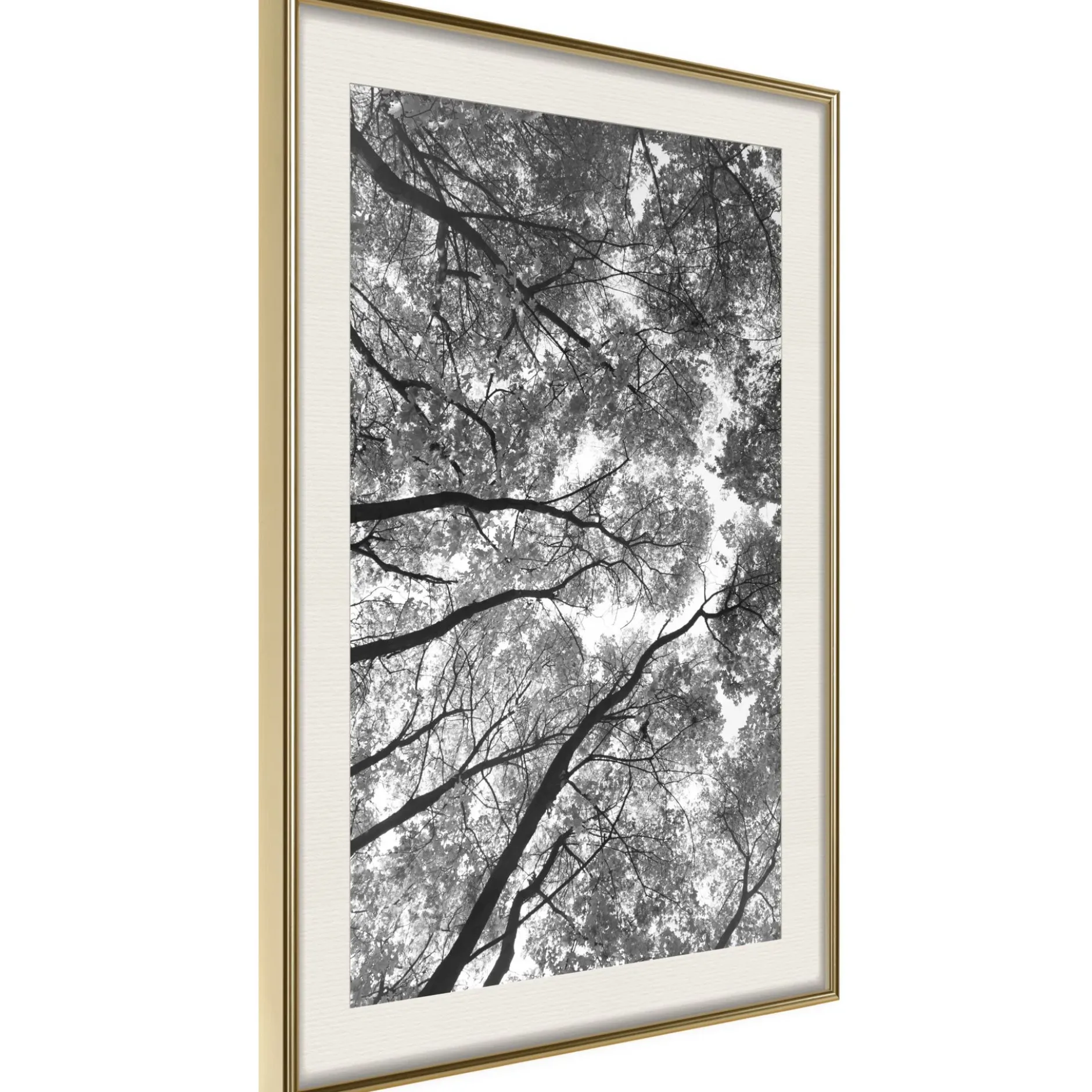 Poster 'Lying on the Grass'