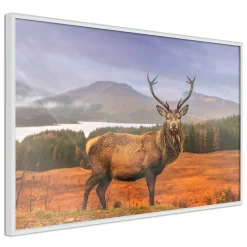Poster 'Majestic Deer'