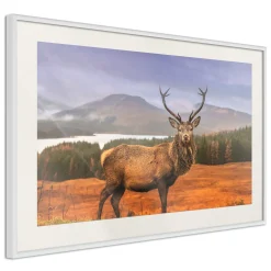 Poster 'Majestic Deer'