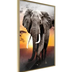 Poster 'Majestic Elephant'