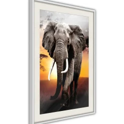 Poster 'Majestic Elephant'