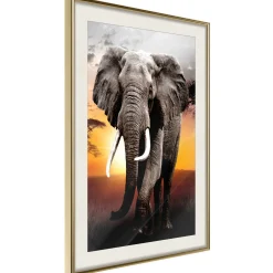 Poster 'Majestic Elephant'