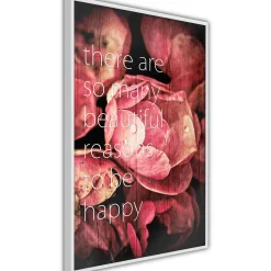 Poster 'Many Reasons to Be Happy'