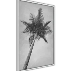 Poster 'Memories from the Paradise'
