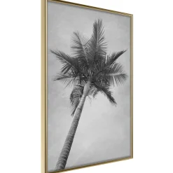 Poster 'Memories from the Paradise'