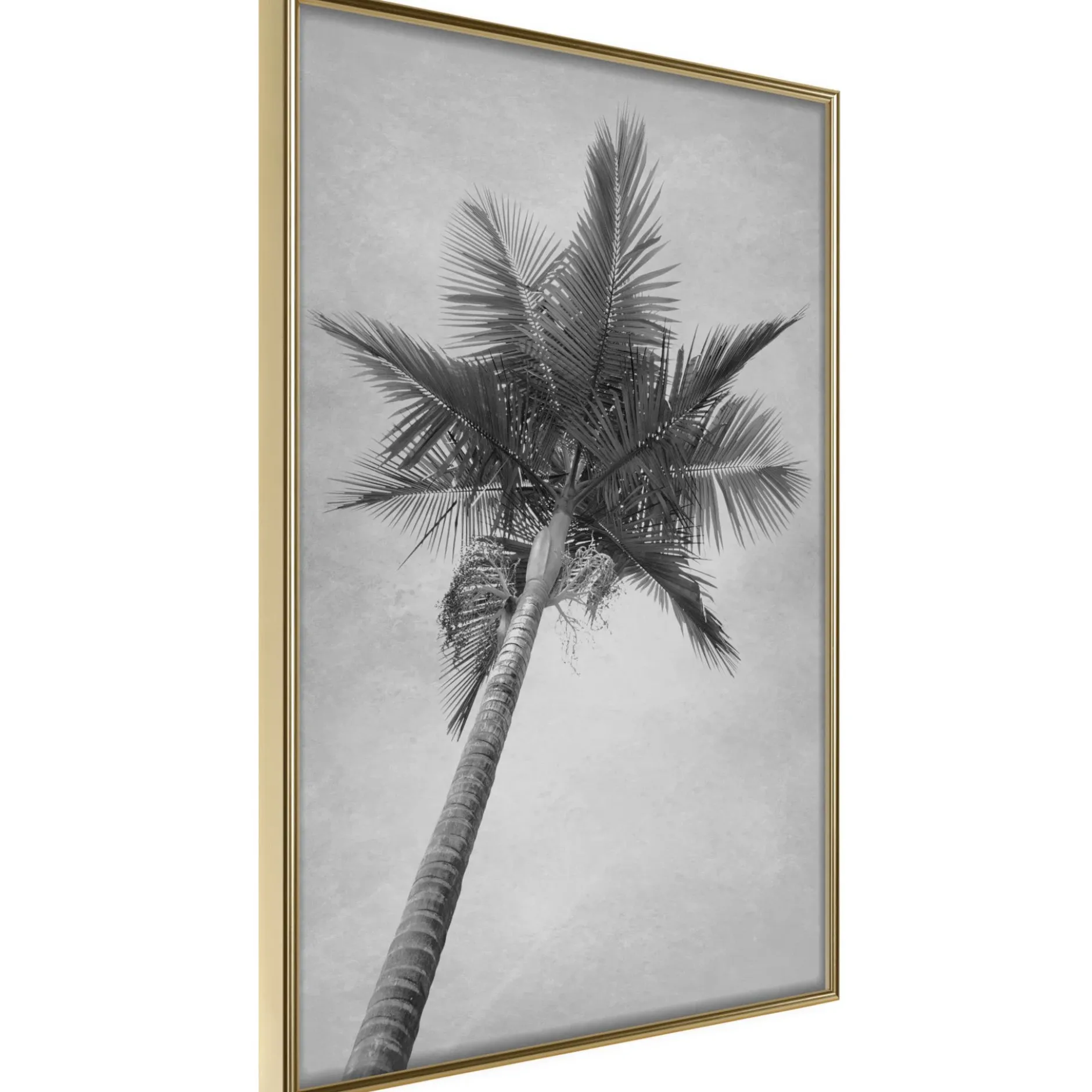 Poster 'Memories from the Paradise'