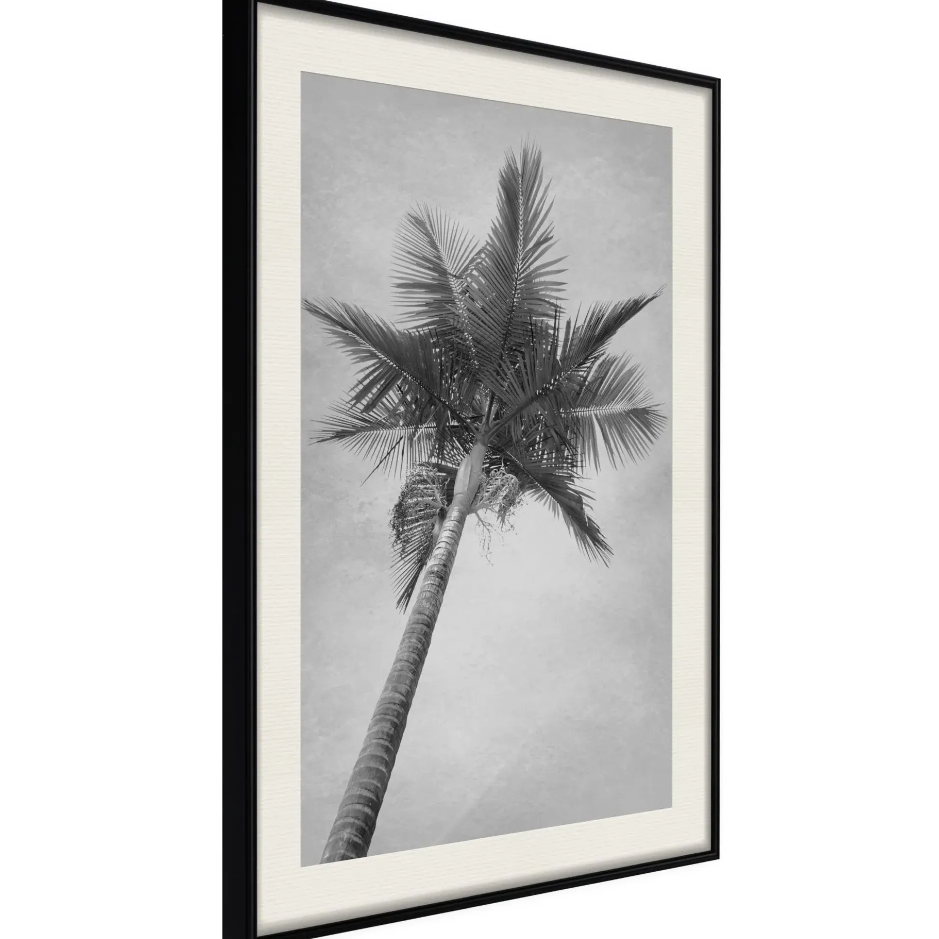 Poster 'Memories from the Paradise'