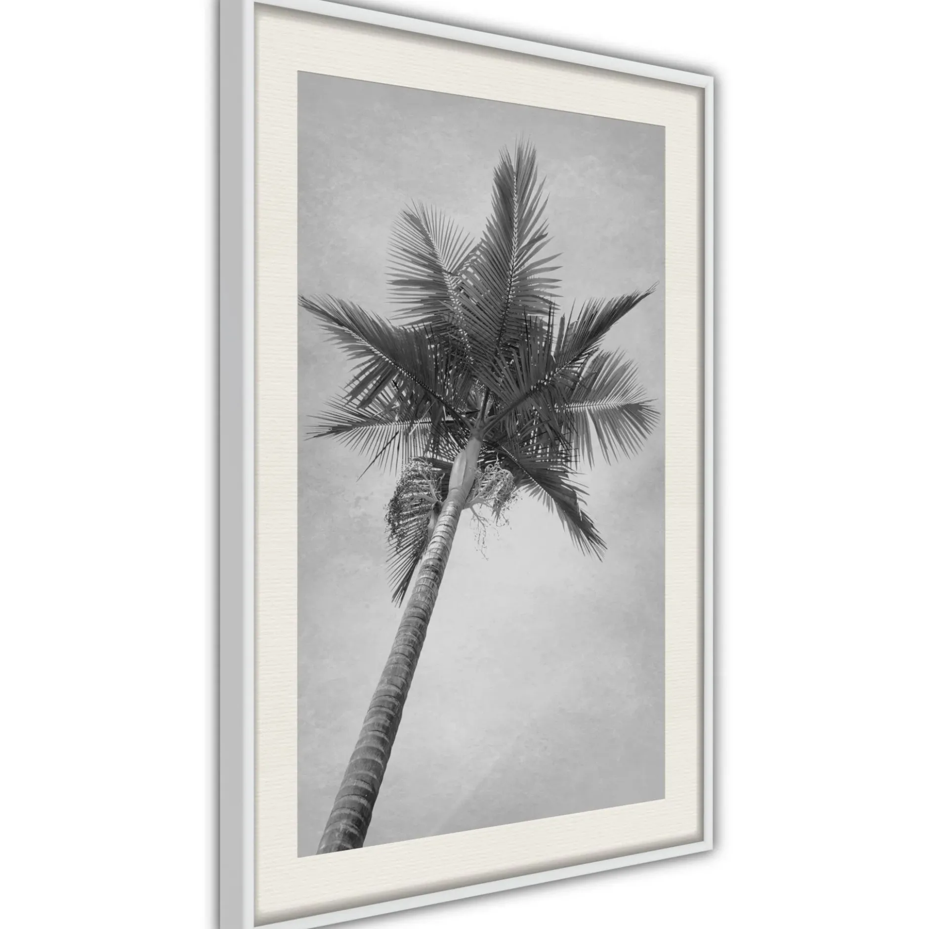 Poster 'Memories from the Paradise'