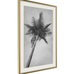 Poster 'Memories from the Paradise'
