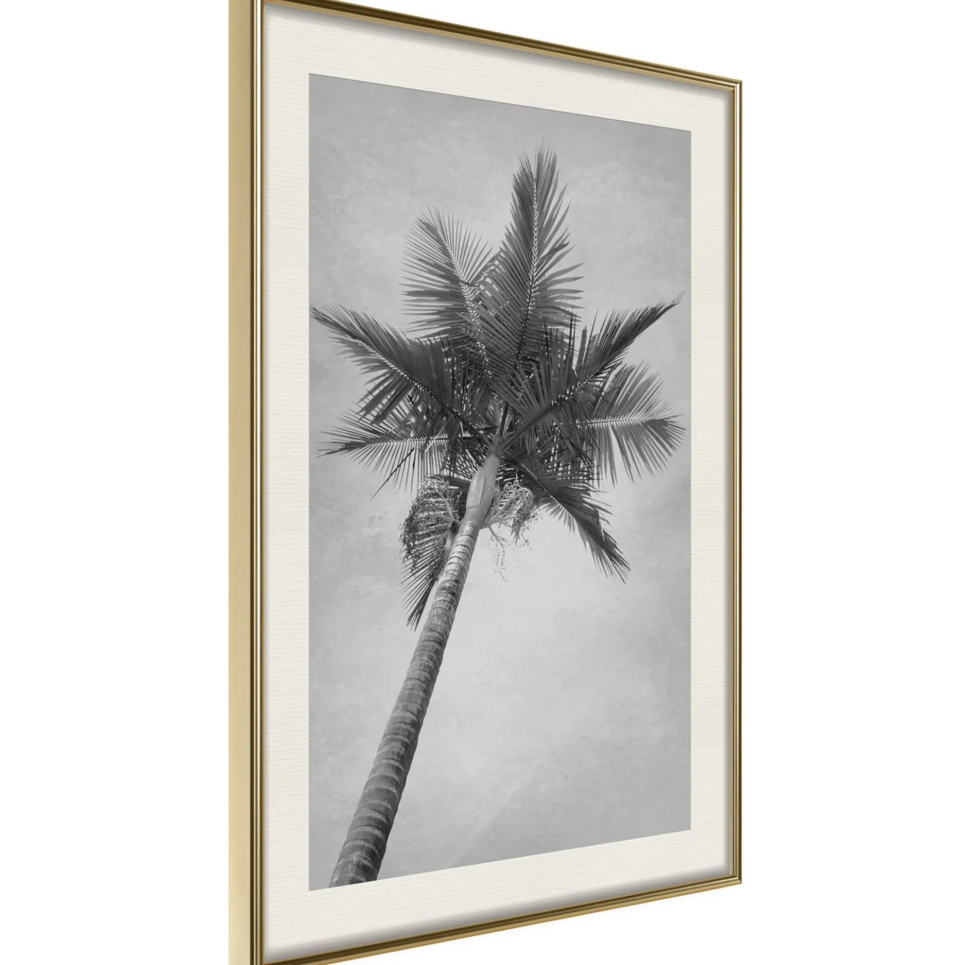 Poster 'Memories from the Paradise'