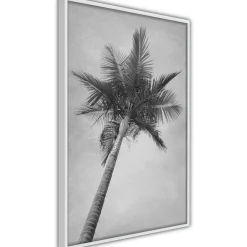 Poster 'Memories from the Paradise'