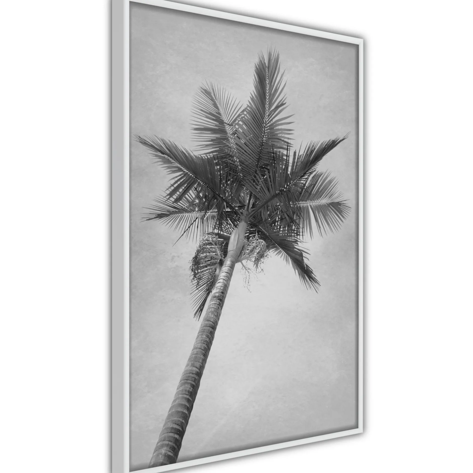 Poster 'Memories from the Paradise'