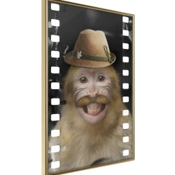 Poster 'Monkey In Hat'
