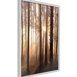Poster 'Morning in the Forest'