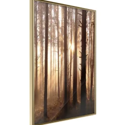 Poster 'Morning in the Forest'