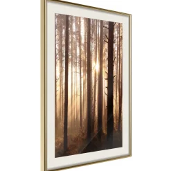 Poster 'Morning in the Forest'