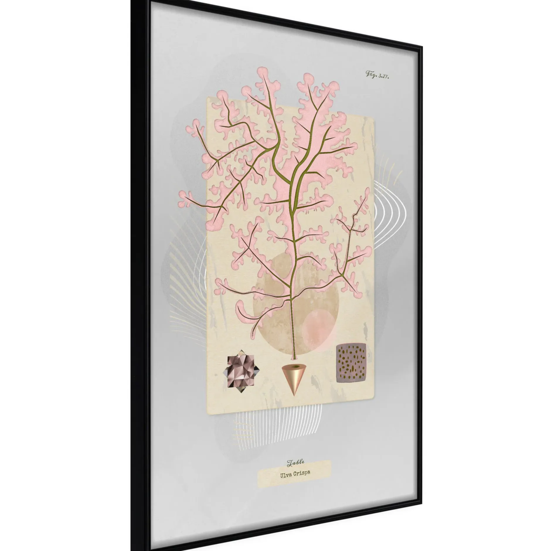 Poster 'Mysterious Tree'