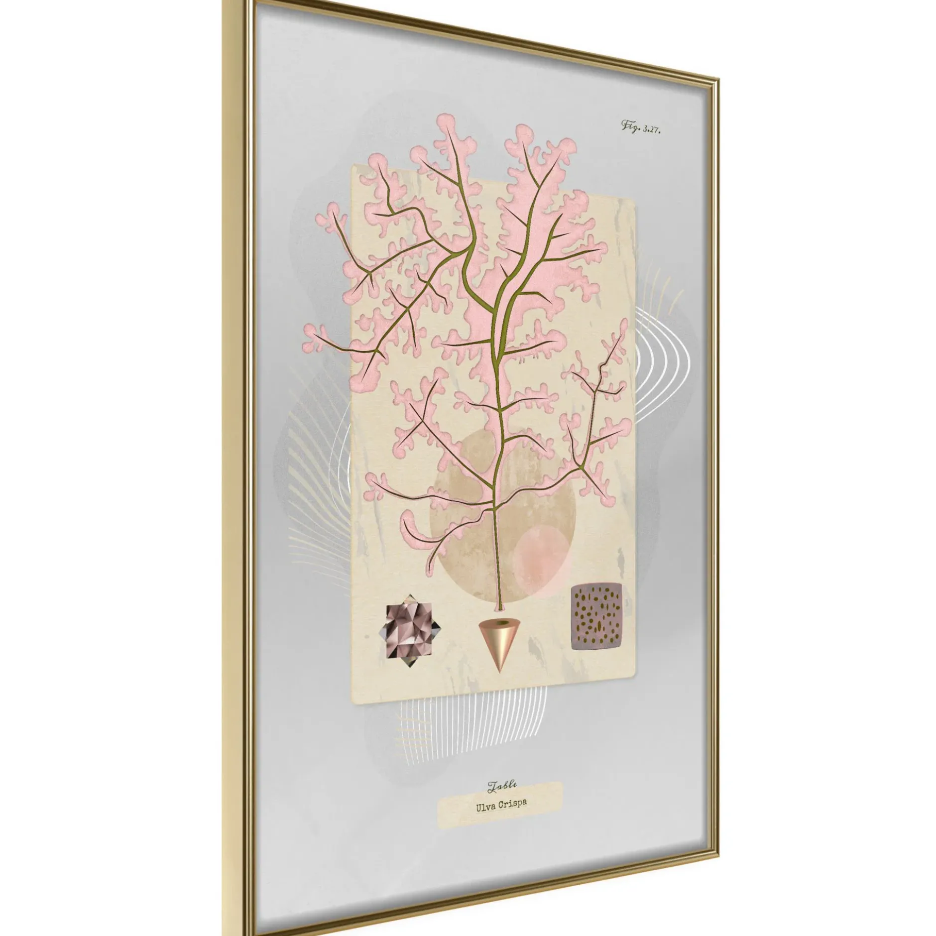 Poster 'Mysterious Tree'