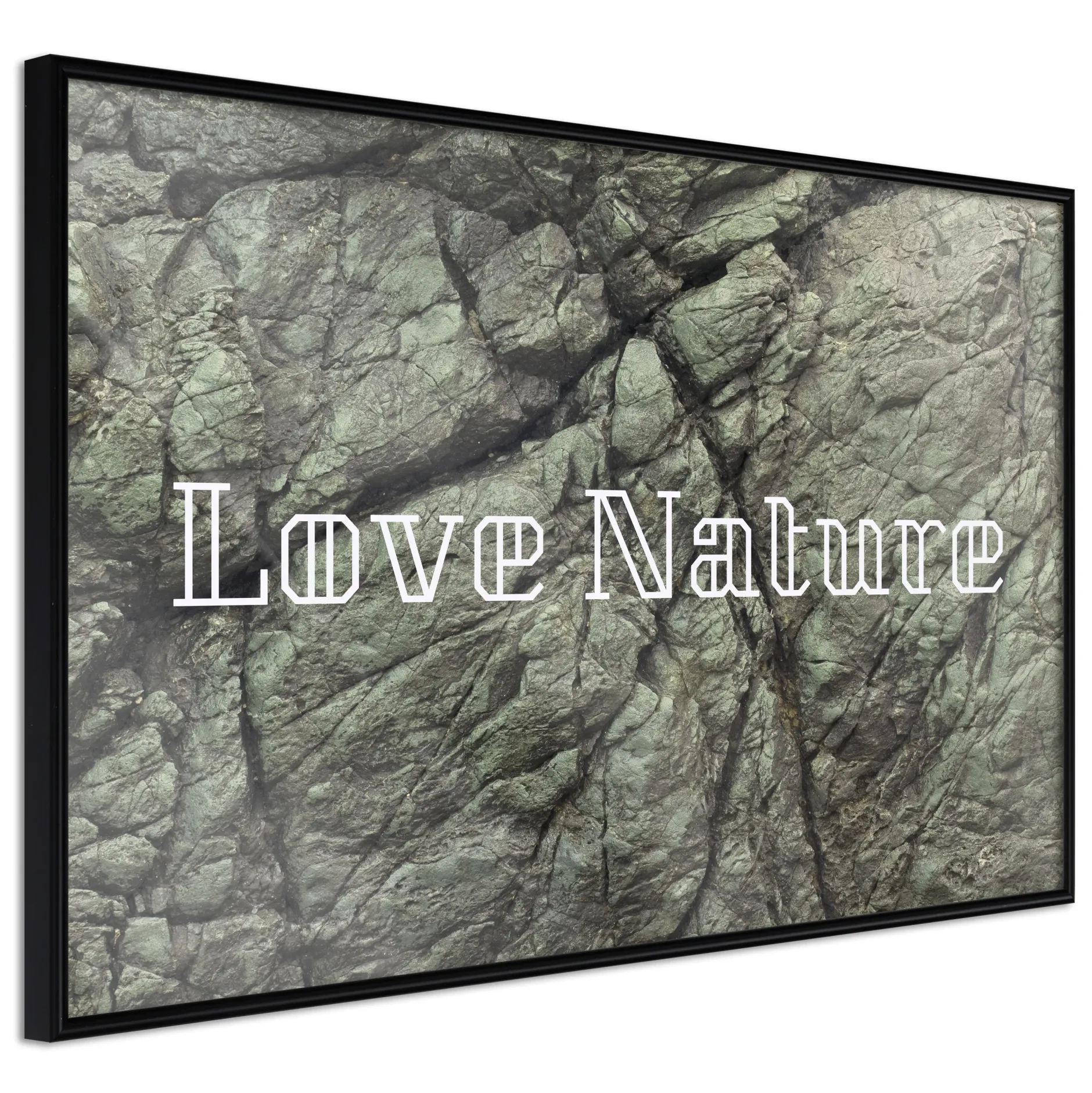 Poster 'Nature'