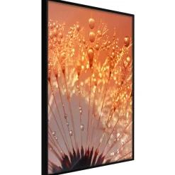 Poster 'Orange Breath of the Summer'