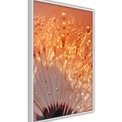 Poster 'Orange Breath of the Summer'