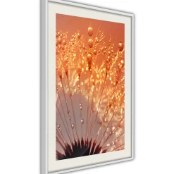 Poster 'Orange Breath of the Summer'