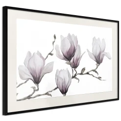 Poster 'Painted Magnolias'