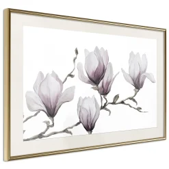 Poster 'Painted Magnolias'