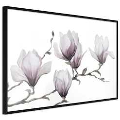 Poster 'Painted Magnolias'