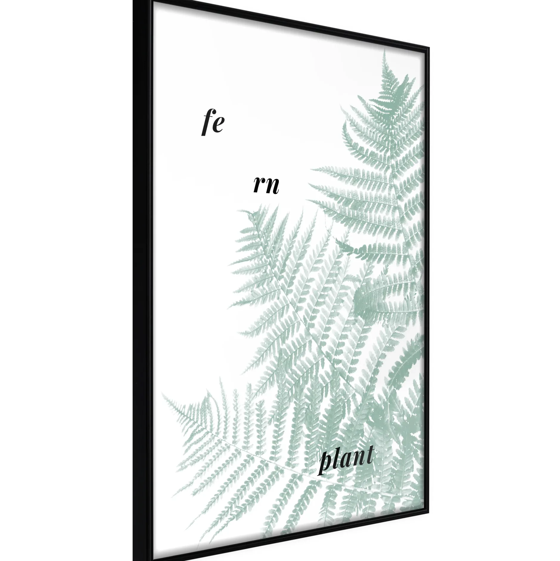Poster 'Pale Green Fern'