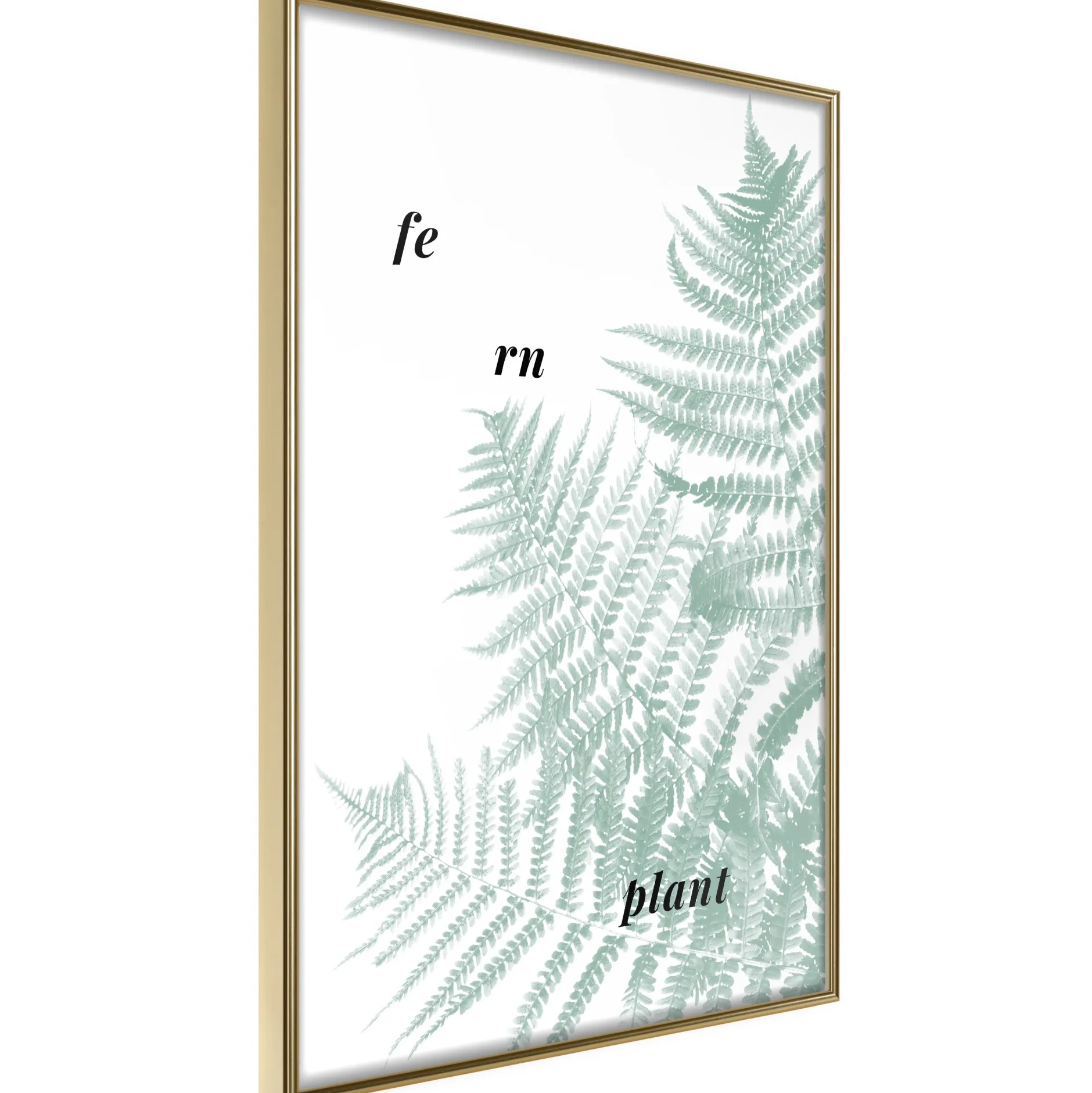 Poster 'Pale Green Fern'