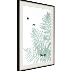 Poster 'Pale Green Fern'