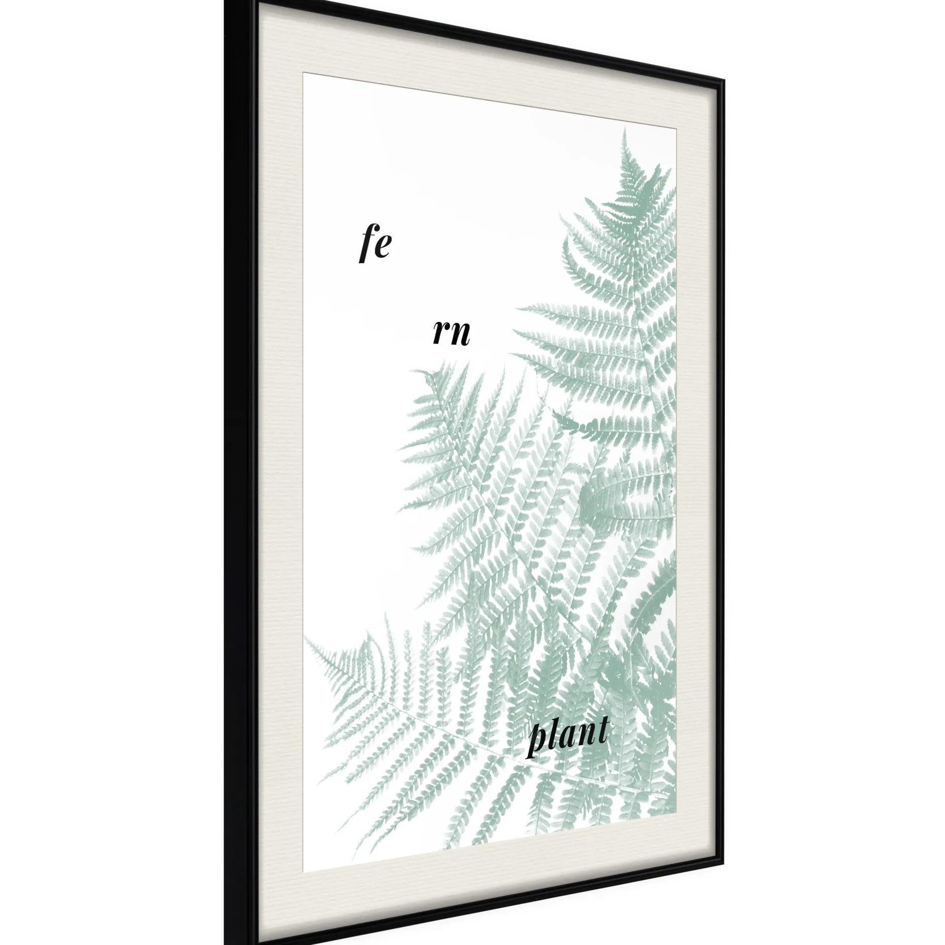 Poster 'Pale Green Fern'