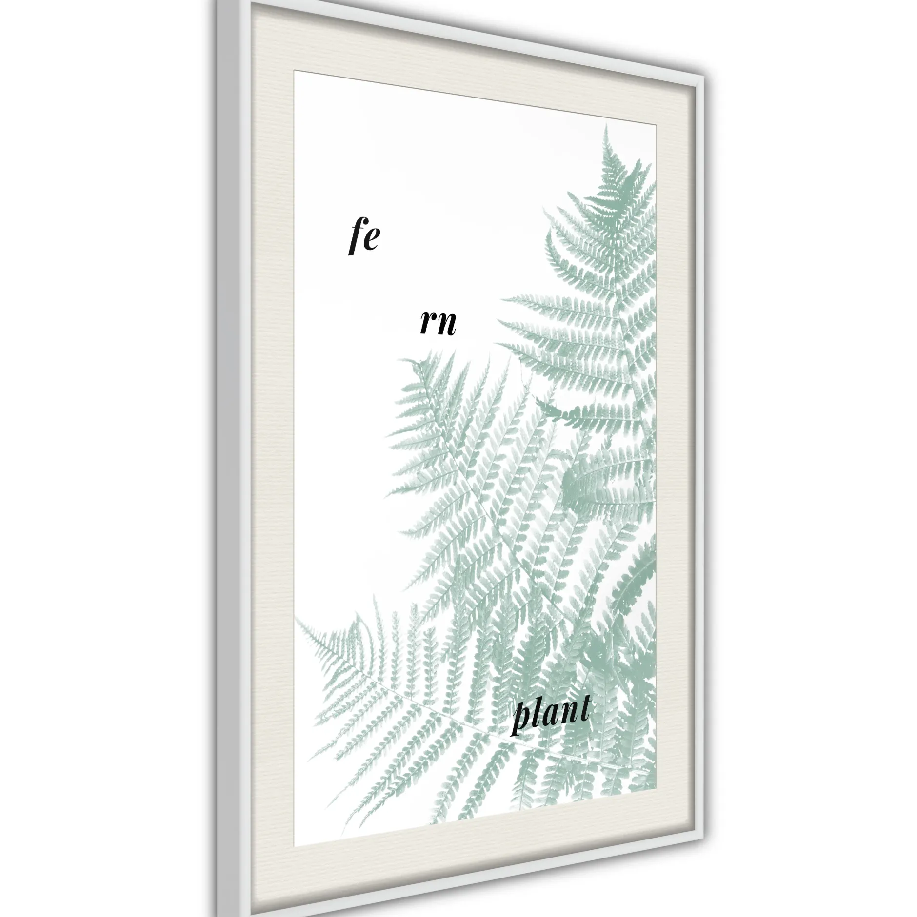 Poster 'Pale Green Fern'