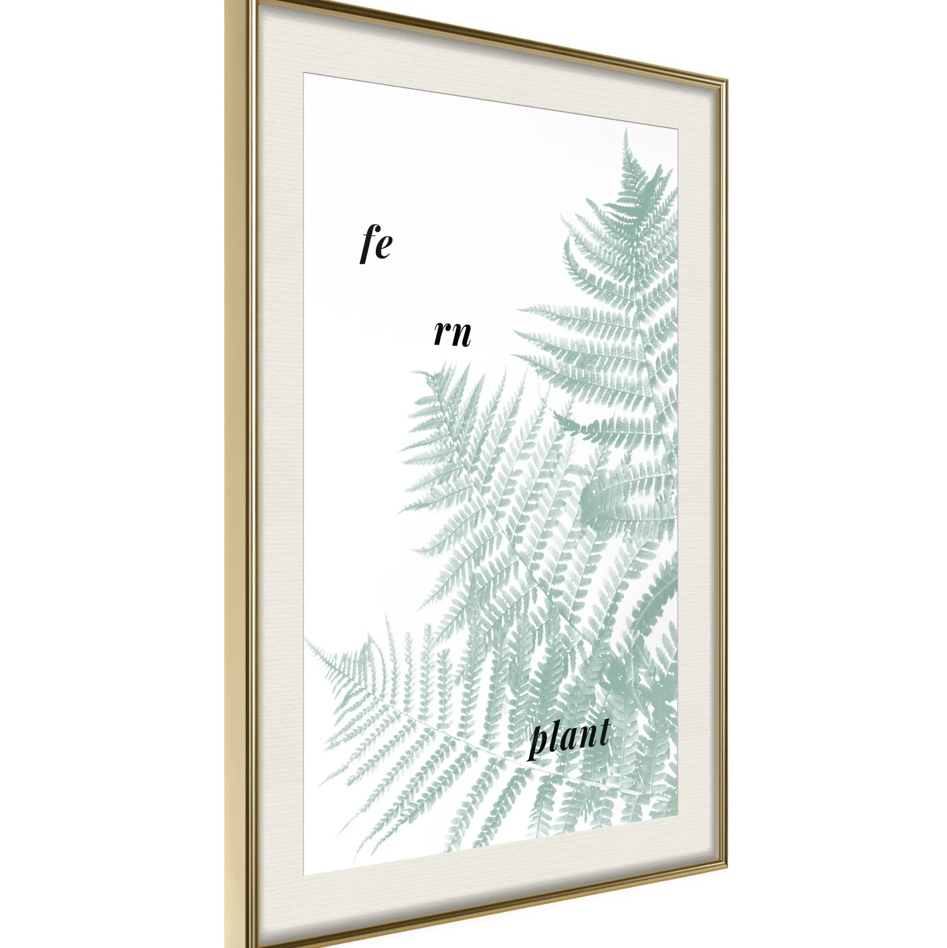 Poster 'Pale Green Fern'