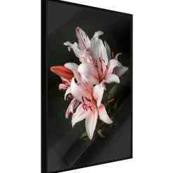 Poster 'Pale Pink Lilies'