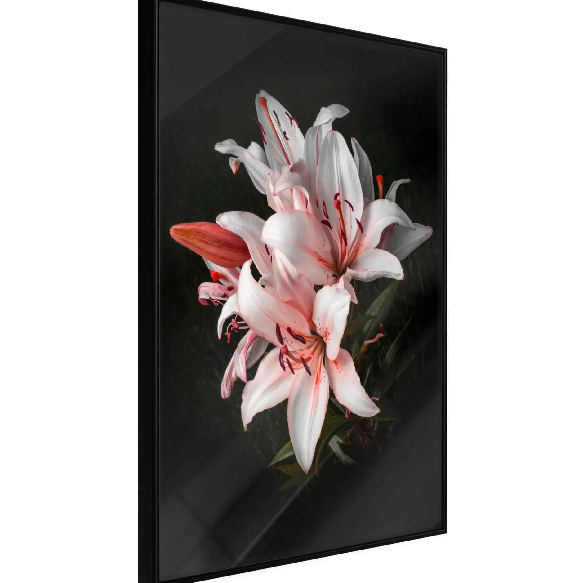 Poster 'Pale Pink Lilies'