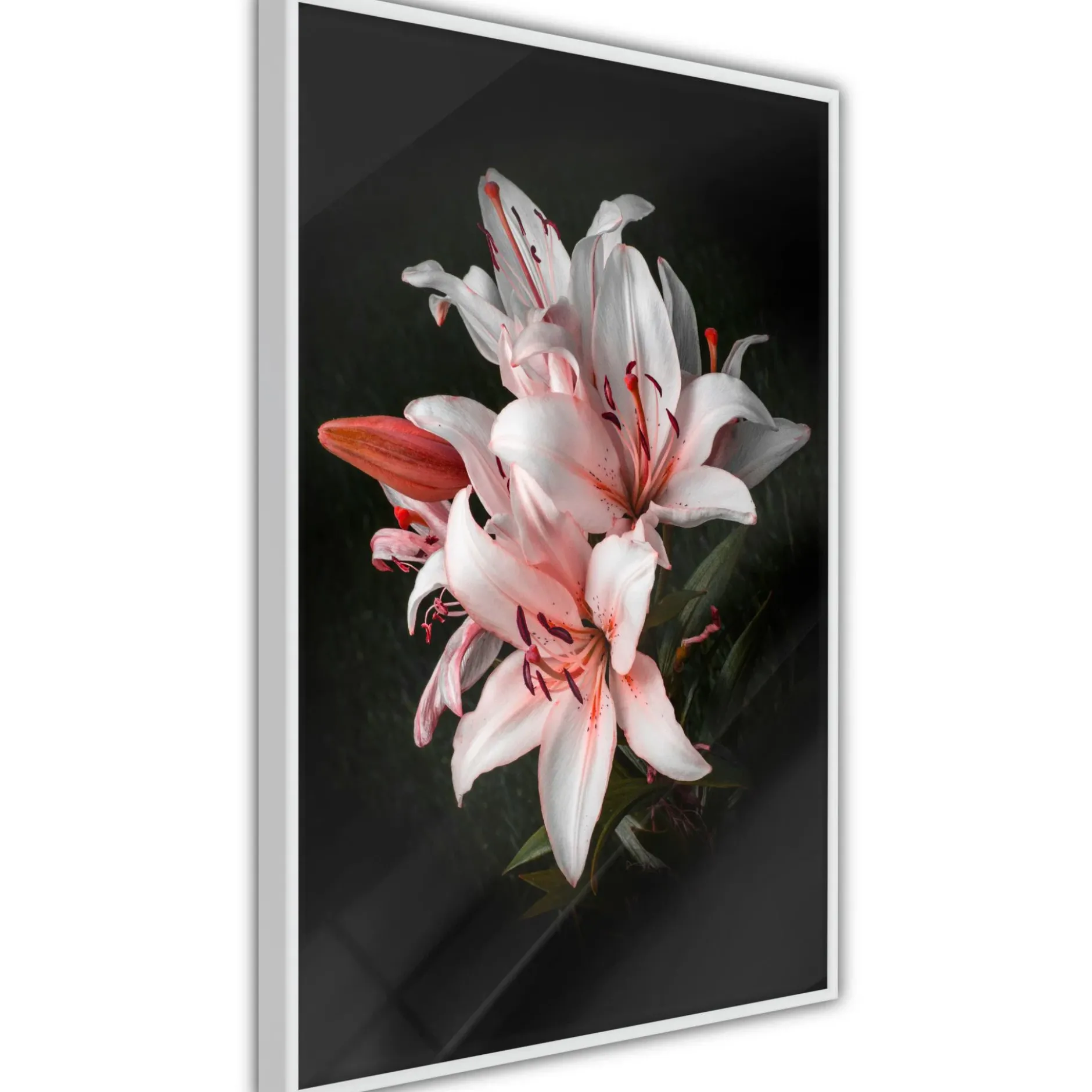 Poster 'Pale Pink Lilies'