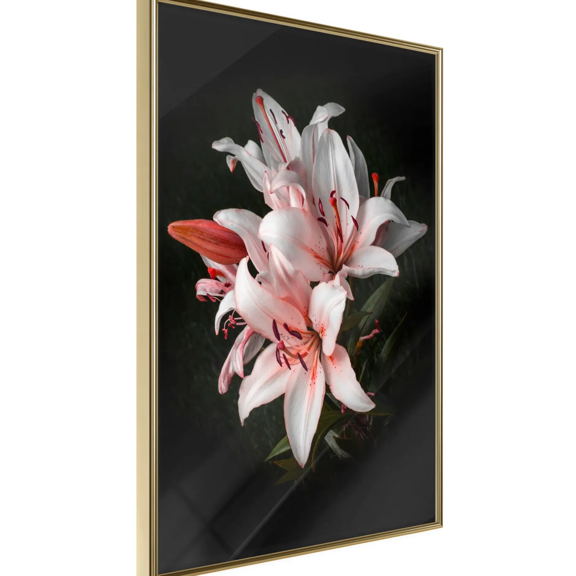 Poster 'Pale Pink Lilies'