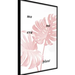 Poster 'Pale Pink Monstera'