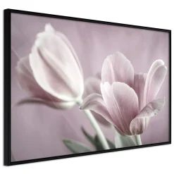Poster 'Pastel Tulips I'