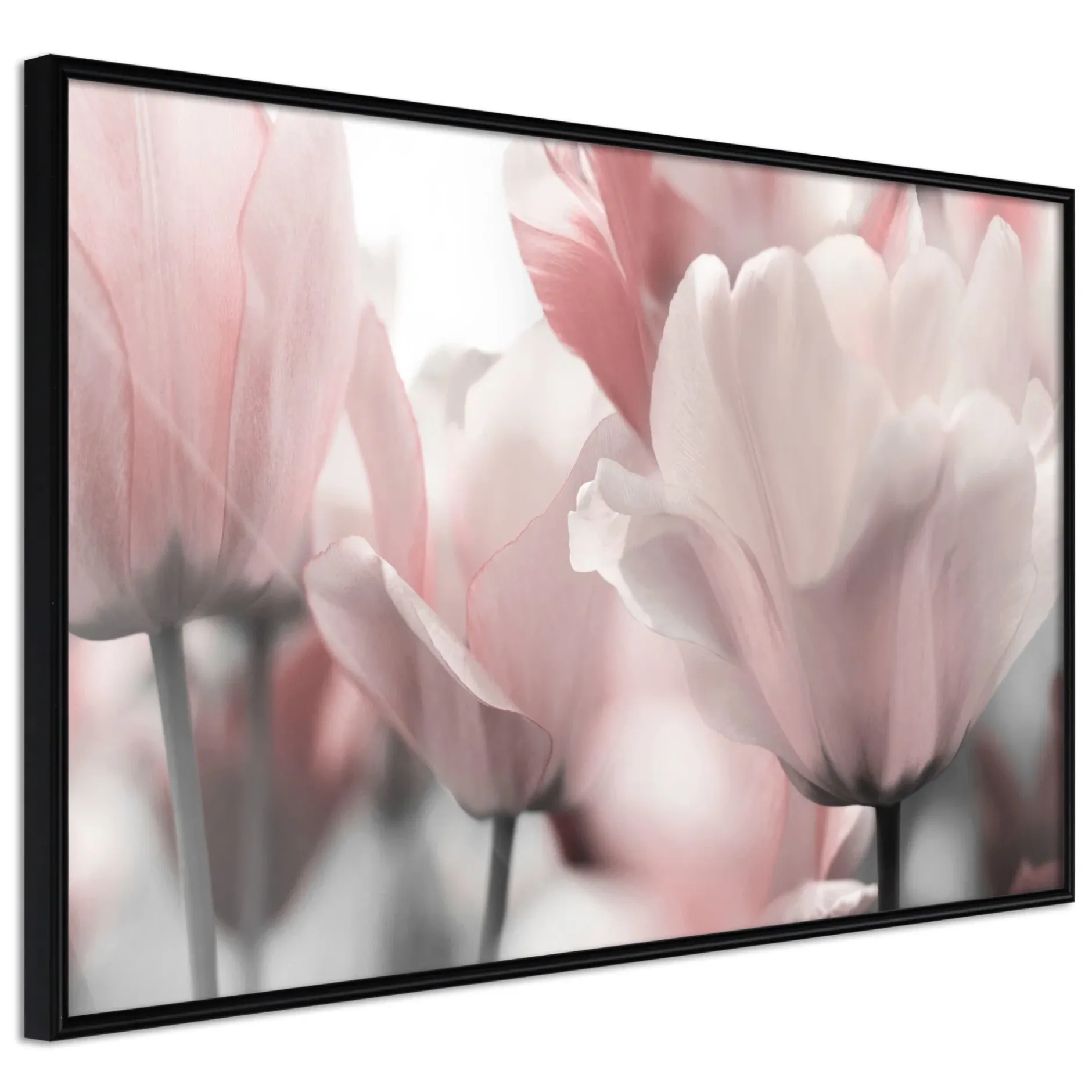 Poster 'Pastel Tulips II'