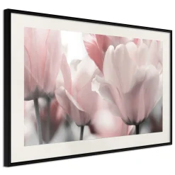 Poster 'Pastel Tulips II'