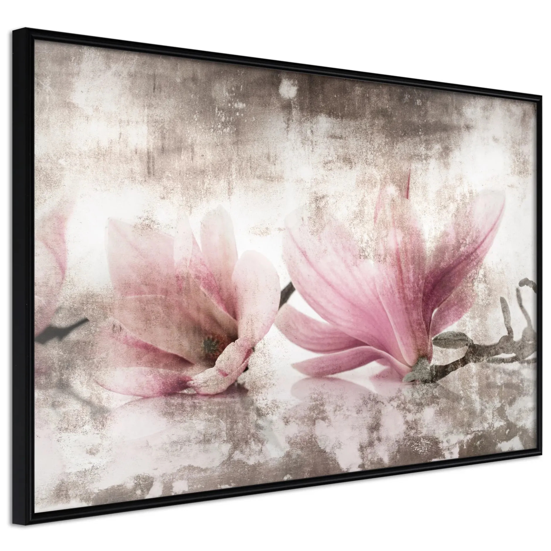 Poster 'Picked Magnolias'