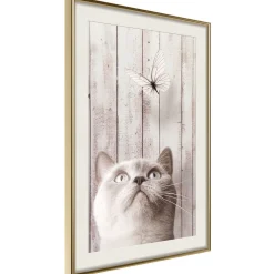 Poster 'Piercing Look'