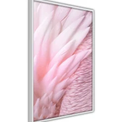 Poster 'Pink Feathers'